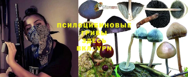 прущий лед Аркадак