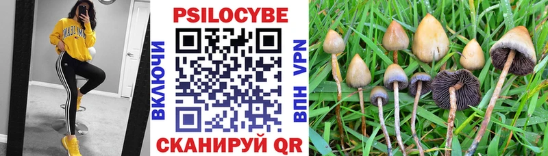 блэк спрут зеркало Собинка Галлюциногенные грибы Psilocybe